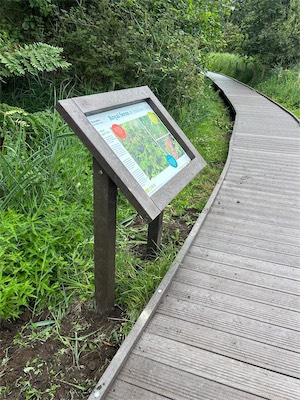 PHOTO-2026-07-23-17-27-37 7.jpg